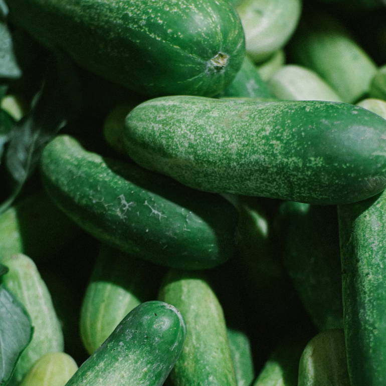 Cucumbers
