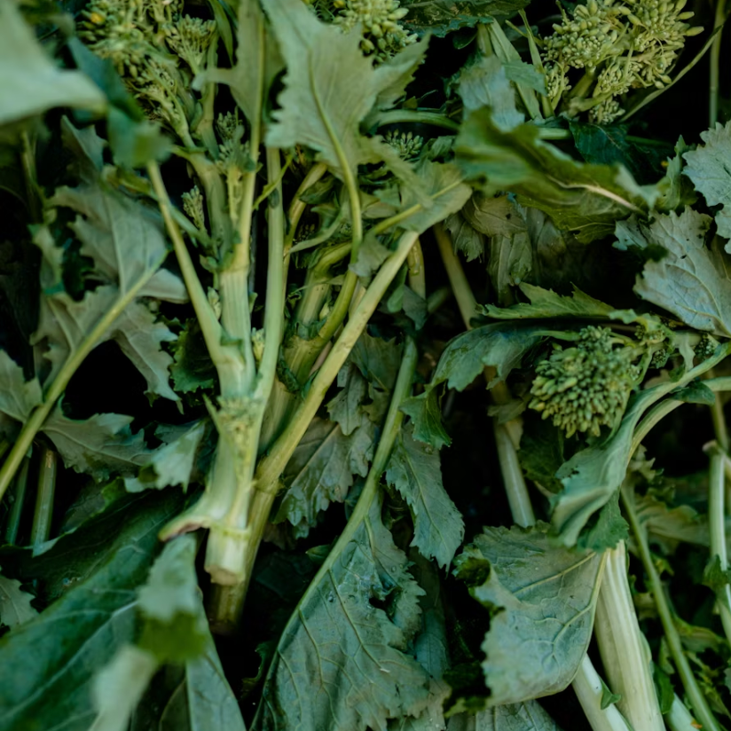 Leafy Greens