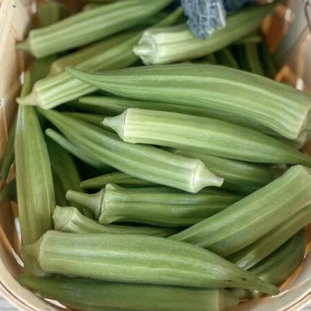 Clemson Spineless 80 Okra