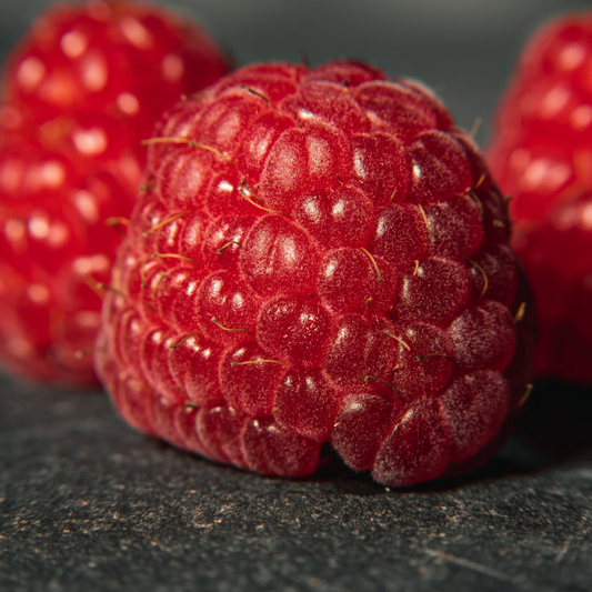 Bare Root Red Raspbesrries