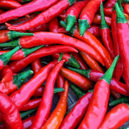 Hungarian Paprika Pepper