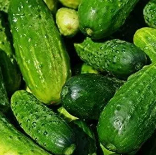 Cucumber Straight 8