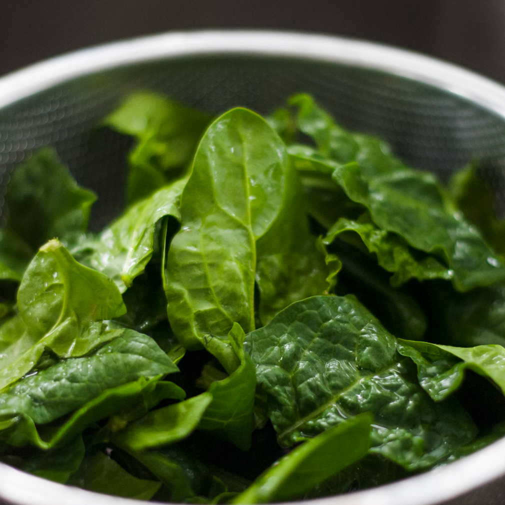 Bloomsdale Longstanding Spinach