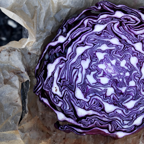 Red Express Cabbage