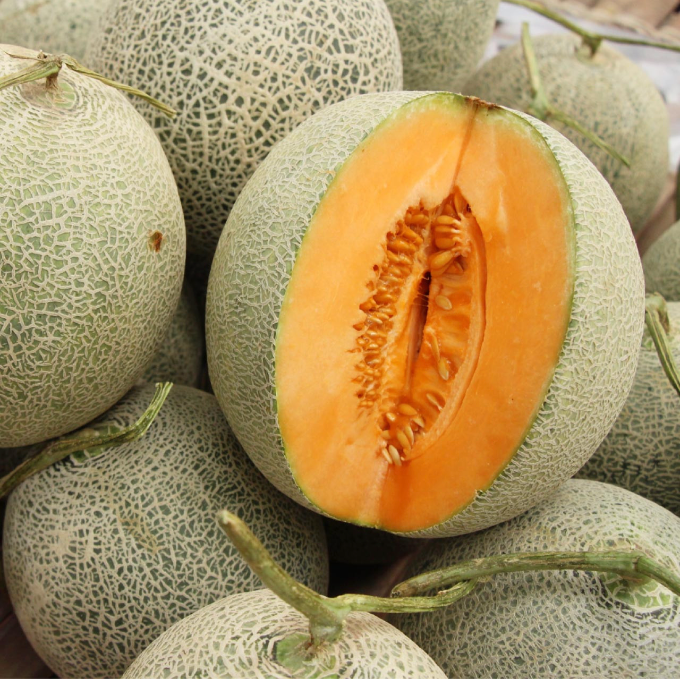 Hales Best Jumbo Cantaloupe