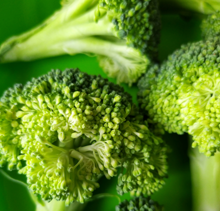 Waltham Broccoli