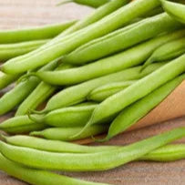 Kentucky Wonder Pole Beans