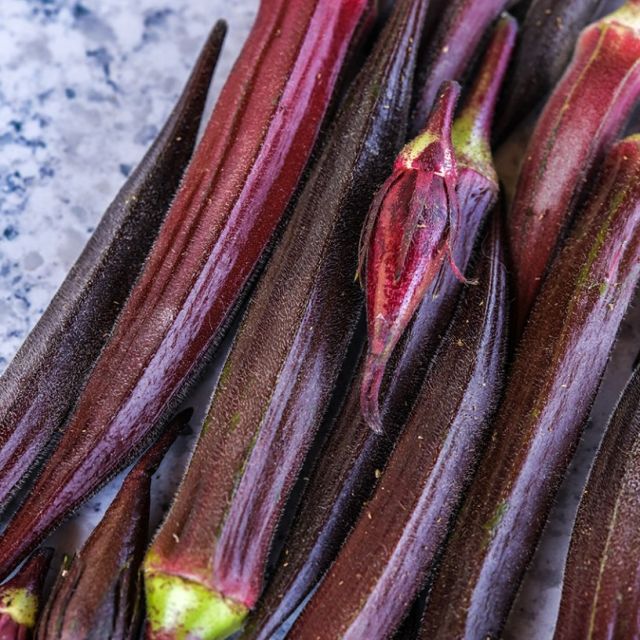 Red Burgandy Okra